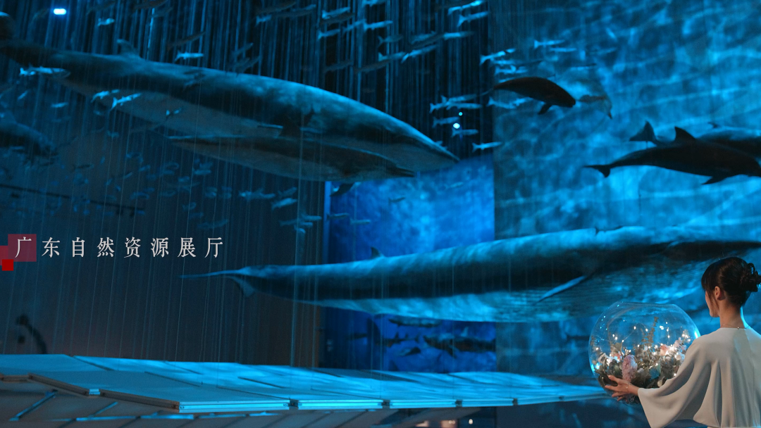 方圆见文明 一馆窥万年——广东省博物馆推出形象宣传片