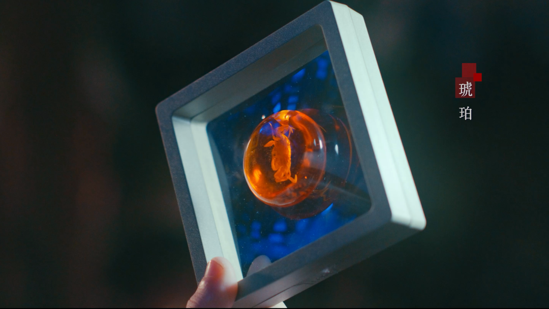 方圆见文明 一馆窥万年——广东省博物馆推出形象宣传片