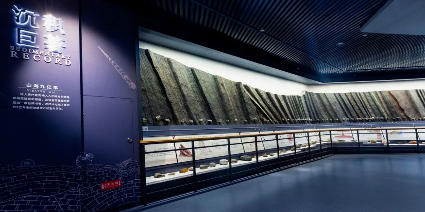 贵州地质博物馆-神秘贵州厅：古生物王国