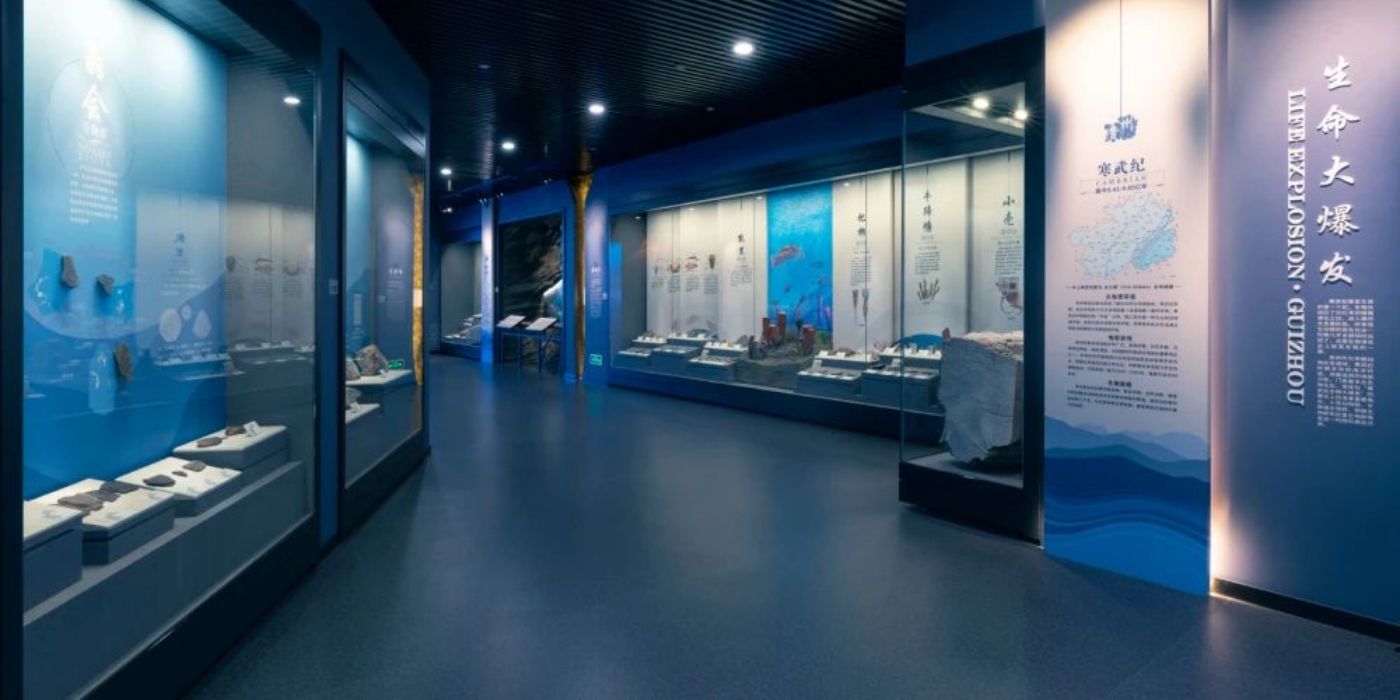 贵州地质博物馆-神秘贵州厅：古生物王国