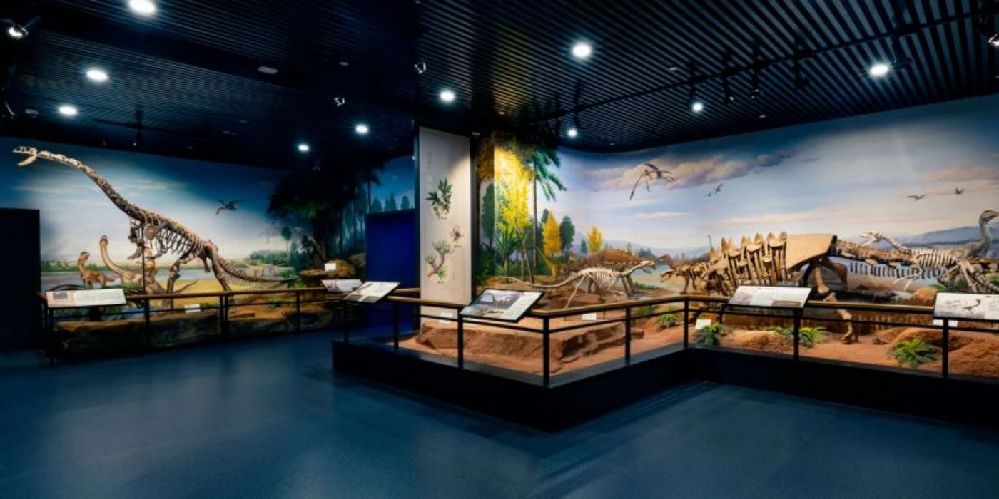 贵州地质博物馆-神秘贵州厅：古生物王国