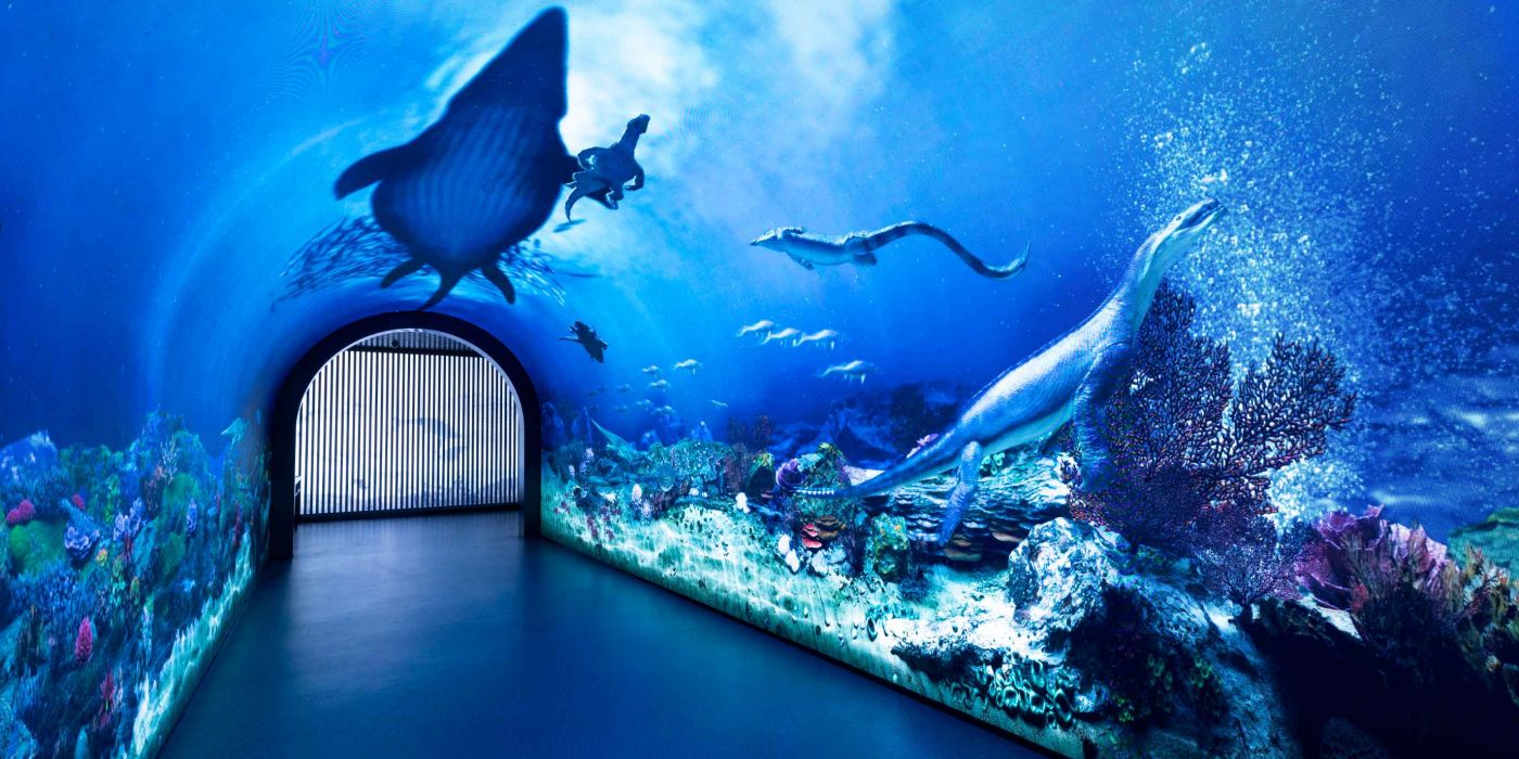 贵州地质博物馆-神秘贵州厅：古生物王国