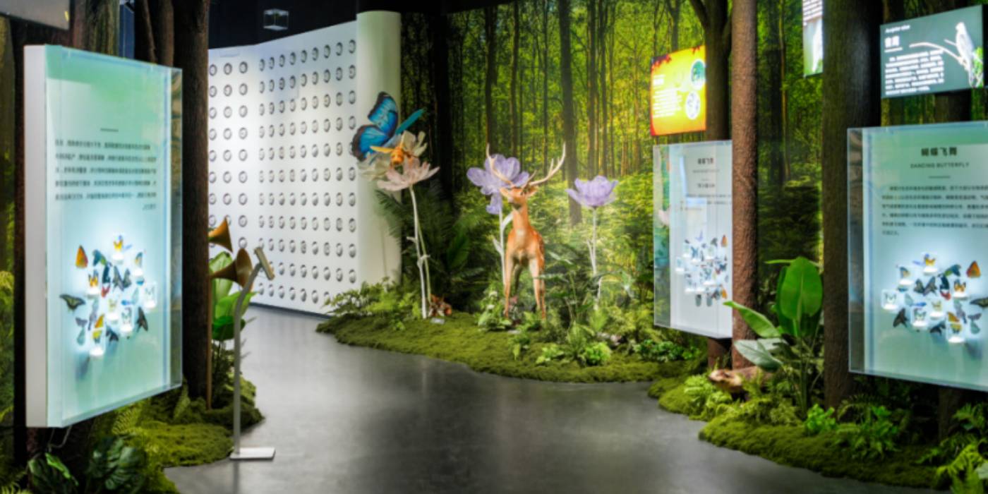 南通环境教育馆:探究生物多样性之旅,践行环保理念 南通环境教育馆:探究生物多样性之旅,践行环保理念