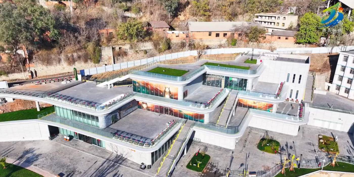 攀枝花苏铁自然遗产保护展示馆：探秘亿年“植物活化石”-攀枝花苏铁