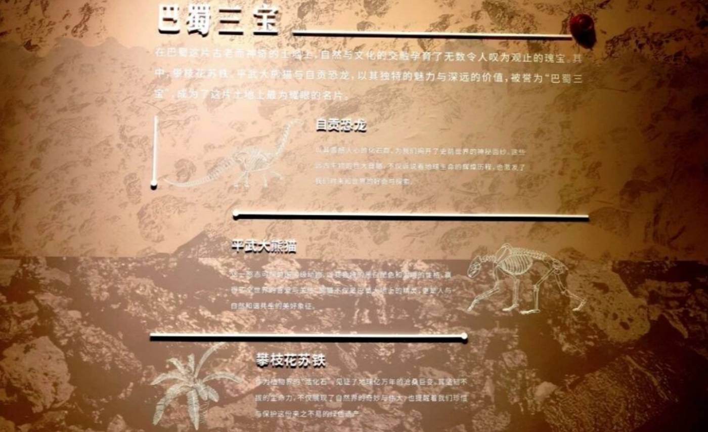 攀枝花苏铁自然遗产保护展示馆：探秘亿年“植物活化石”-攀枝花苏铁