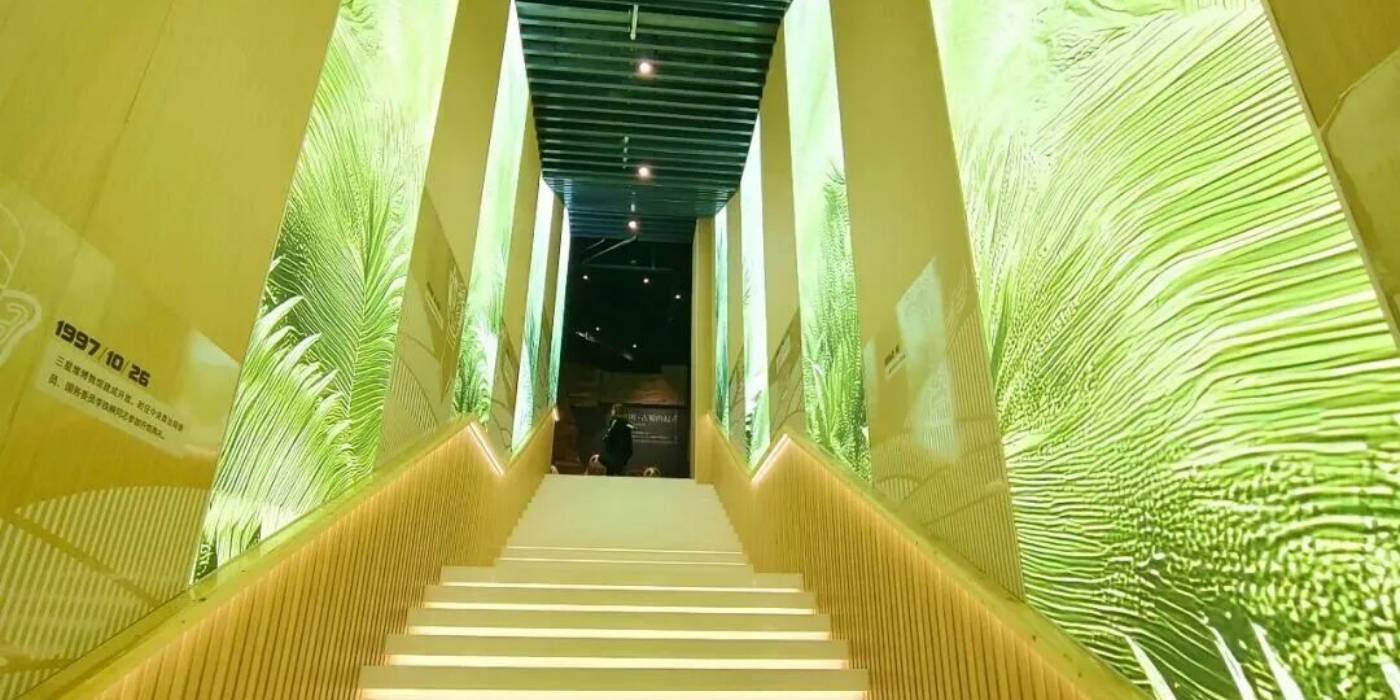 攀枝花苏铁自然遗产保护展示馆：探秘亿年“植物活化石”-攀枝花苏铁
