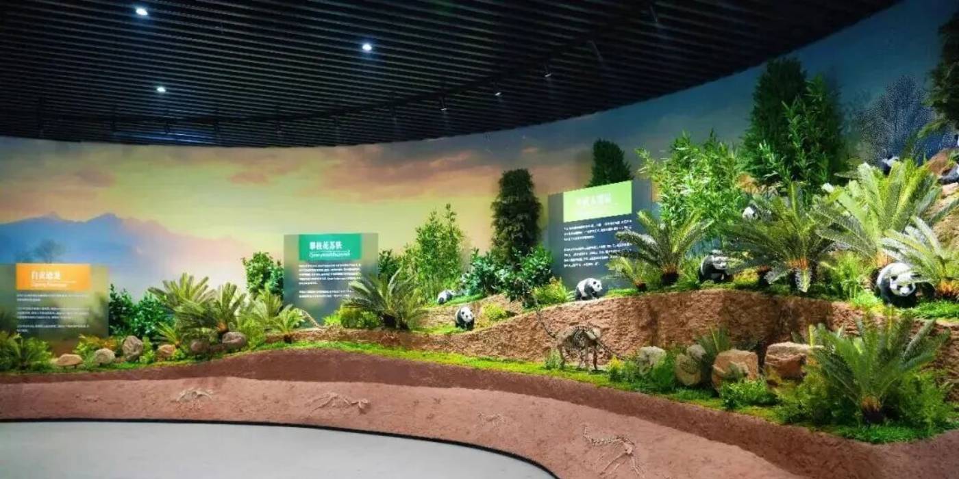 攀枝花苏铁自然遗产保护展示馆：探秘亿年“植物活化石”-攀枝花苏铁