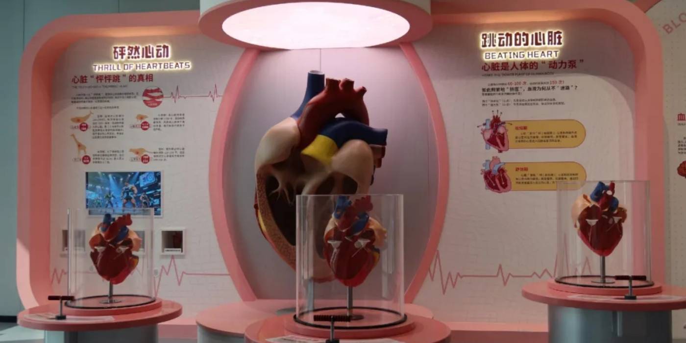 苏州科技馆开馆:体验一场探索“微观世界”神秘旅程 苏州科技馆开馆:体验一场探索“微观世界”神秘旅程