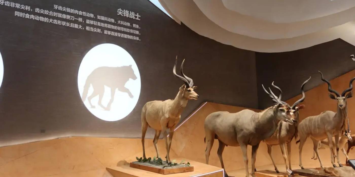 苏州科技馆开馆:体验一场探索“微观世界”神秘旅程 苏州科技馆开馆:体验一场探索“微观世界”神秘旅程