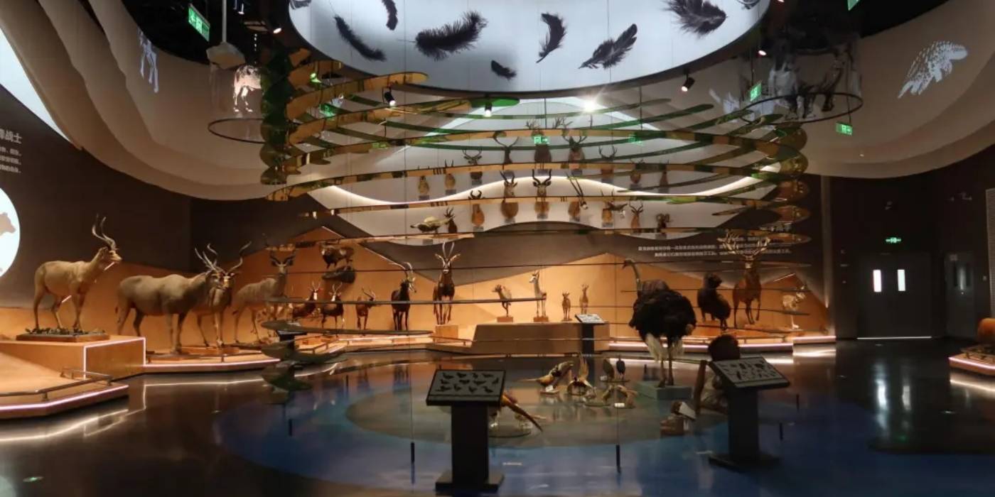 苏州科技馆开馆:体验一场探索“微观世界”神秘旅程 苏州科技馆开馆:体验一场探索“微观世界”神秘旅程