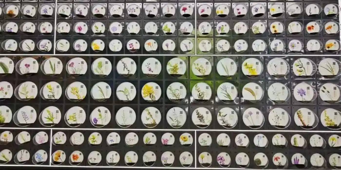 鄂尔多斯科技创新馆:感受鄂尔多斯市科技发展和创新的能力 鄂尔多斯科技创新馆:感受鄂尔多斯市科技发展和创新的能力